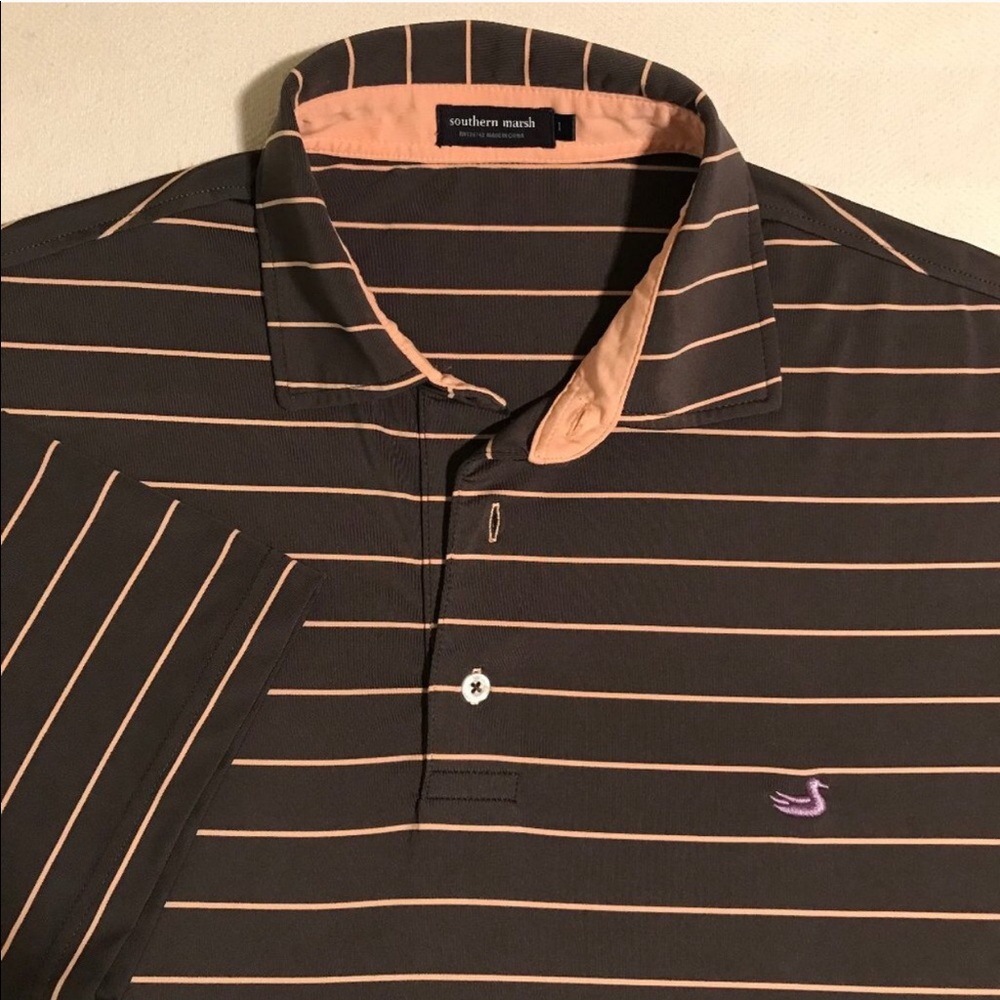 Southern marsh polo